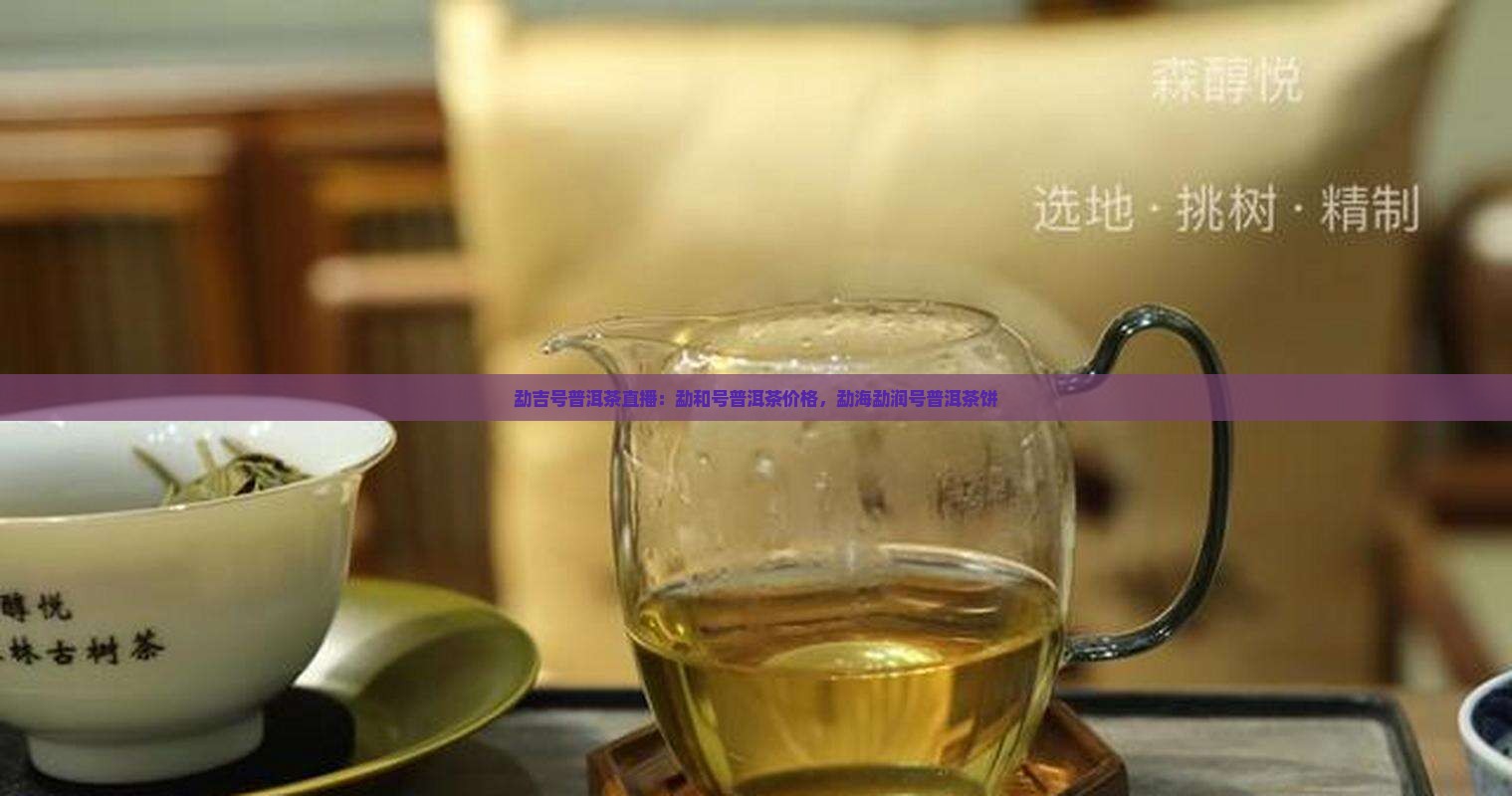勐吉号普洱茶直播：勐和号普洱茶价格，勐海勐润号普洱茶饼