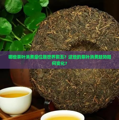 哪些茶叶消费量位居世界前五？这些的茶叶消费趋势如何变化？