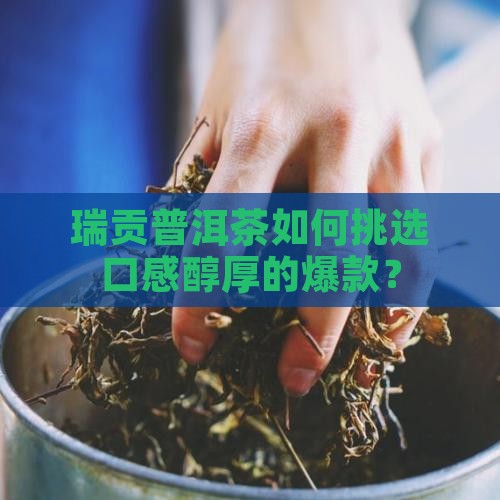 瑞贡普洱茶如何挑选口感醇厚的爆款？