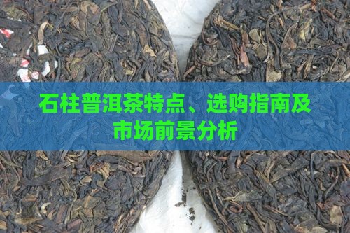 石柱普洱茶特点、选购指南及市场前景分析