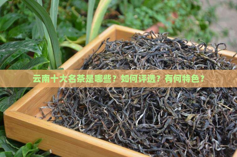 云南十大名茶是哪些？如何评选？有何特色？