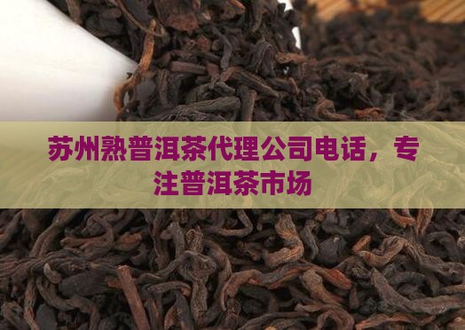 苏州熟普洱茶代理公司电话，专注普洱茶市场
