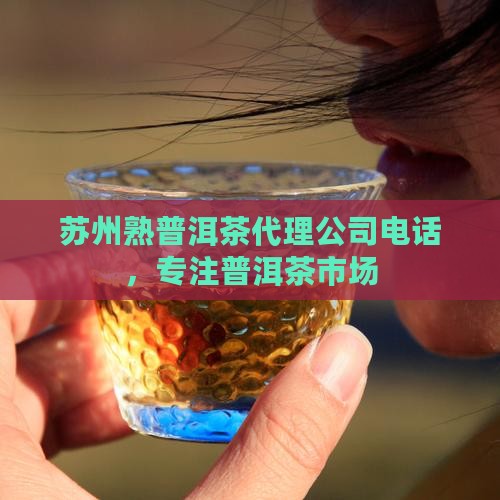苏州熟普洱茶代理公司电话，专注普洱茶市场