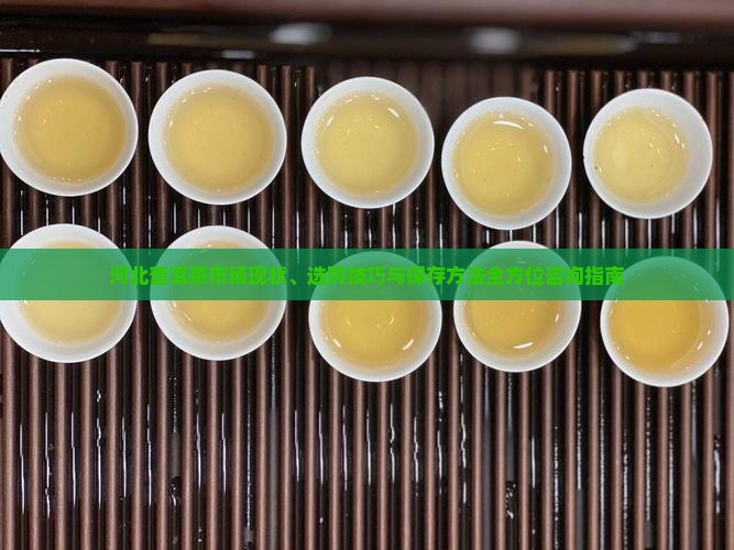 河北普洱茶市场现状、选购技巧与保存方法全方位咨询指南 河北普洱茶市场现状、选购技巧与保存方法全方位咨询指南