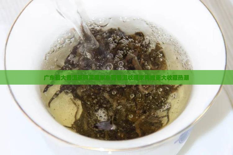 广东最大普洱茶购买藏家东莞普洱收藏家再掀更大收藏热潮