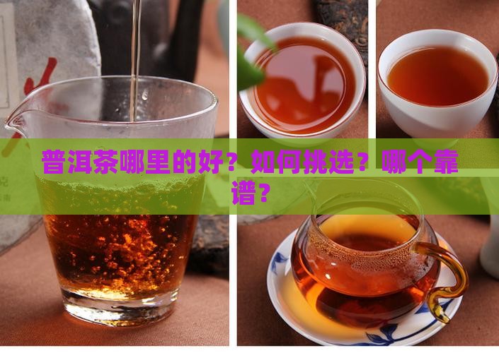 普洱茶哪里的好？如何挑选？哪个靠谱？