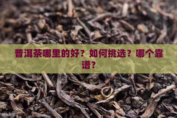 普洱茶哪里的好？如何挑选？哪个靠谱？