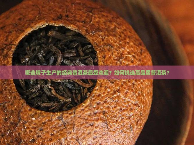哪些牌子生产的经典普洱茶最受欢迎？如何挑选高品质普洱茶？