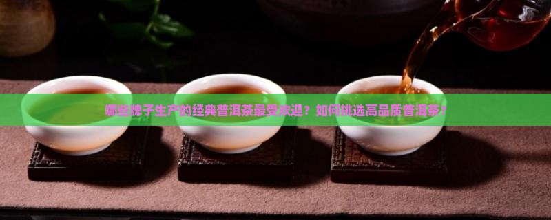 哪些牌子生产的经典普洱茶最受欢迎？如何挑选高品质普洱茶？
