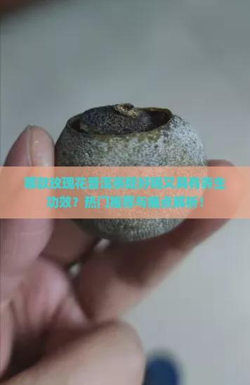 哪款玫瑰花普洱茶既好喝又具有养生功效？热门推荐与痛点解析！