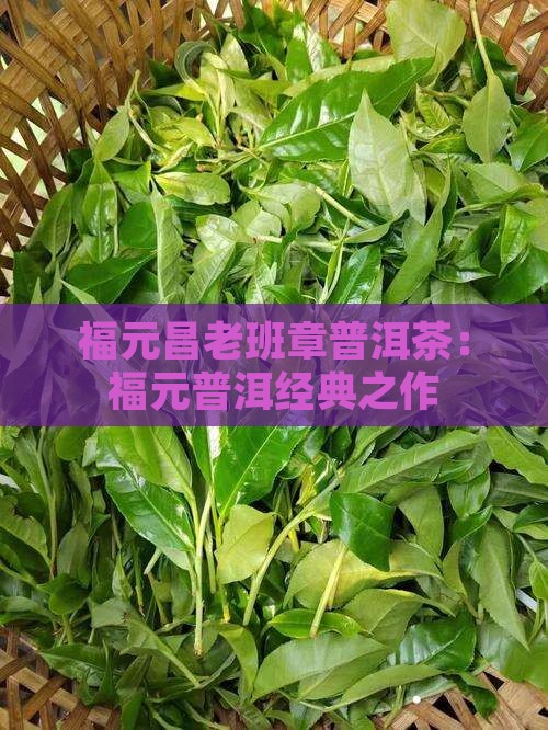 福元昌老班章普洱茶：福元普洱经典之作