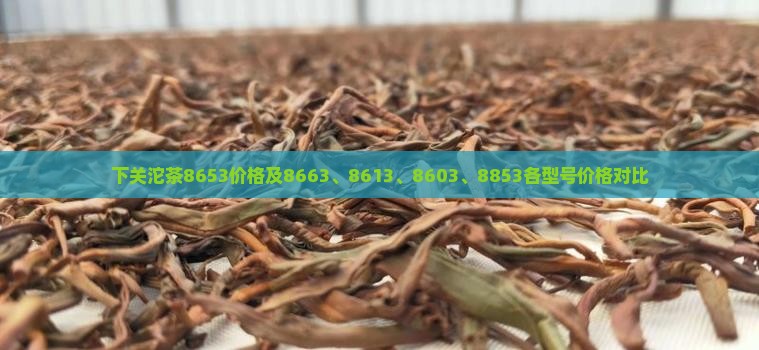 下关沱茶8653价格及8663、8613、8603、8853各型号价格对比