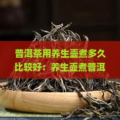 普洱茶用养生壶煮多久比较好：养生壶煮普洱茶的冲泡时长与技巧