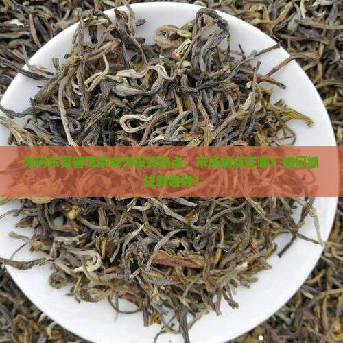 为何东莞普洱茶成为投资热点，市场痛点在哪？如何抓住新趋势？