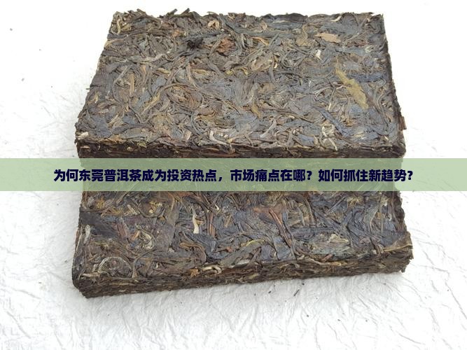 为何东莞普洱茶成为投资热点，市场痛点在哪？如何抓住新趋势？