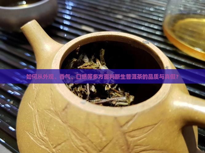如何从外观、香气、口感等多方面判断生普洱茶的品质与真假？