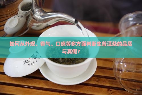 如何从外观、香气、口感等多方面判断生普洱茶的品质与真假？