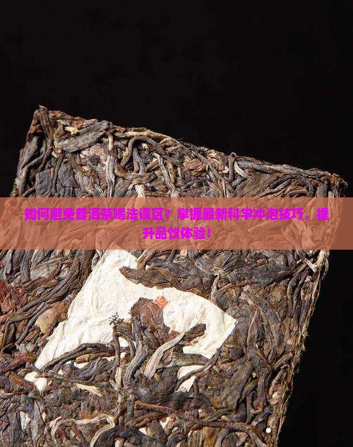 如何避免普洱茶喝法误区？掌握最新科学冲泡技巧，提升品饮体验！
