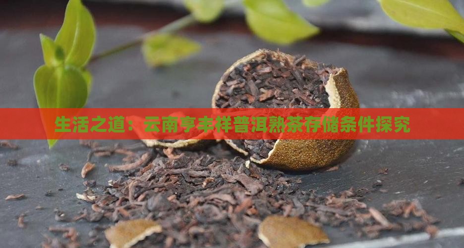生活之道：云南亨丰祥普洱熟茶存储条件探究