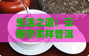 生活之道：云南亨丰祥普洱熟茶存储条件探究