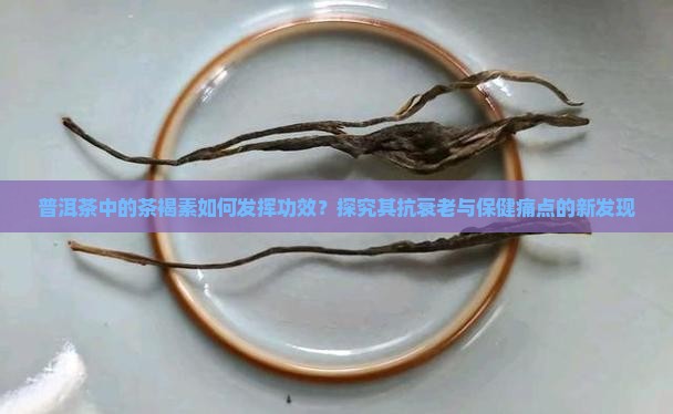 普洱茶中的茶褐素如何发挥功效？探究其抗衰老与保健痛点的新发现