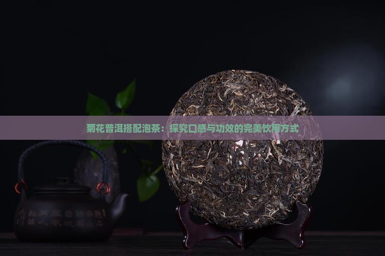 菊花普洱搭配泡茶：探究口感与功效的完美饮用方式
