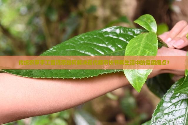 传统农家手工普洱茶如何解决现代都市快节奏生活中的健康痛点？