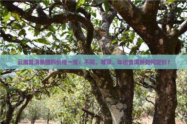 云南普洱茶团购价格一览：不同、等级、年份普洱茶如何定价？