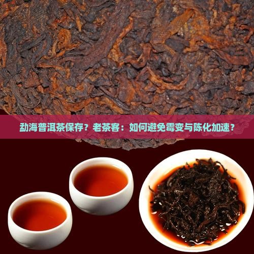 勐海普洱茶保存？老茶客：如何避免霉变与陈化加速？