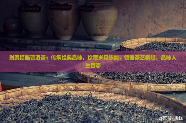 财聚福临普洱茶：传承经典品味，珍藏岁月陈韵，领略茶艺精髓，品味人生百态
