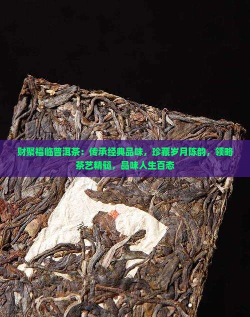 财聚福临普洱茶：传承经典品味，珍藏岁月陈韵，领略茶艺精髓，品味人生百态