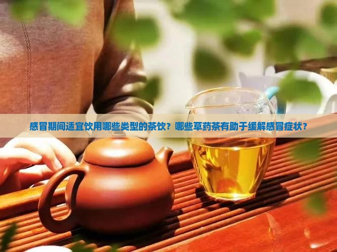 感冒期间适宜饮用哪些类型的茶饮？哪些草药茶有助于缓解感冒症状？