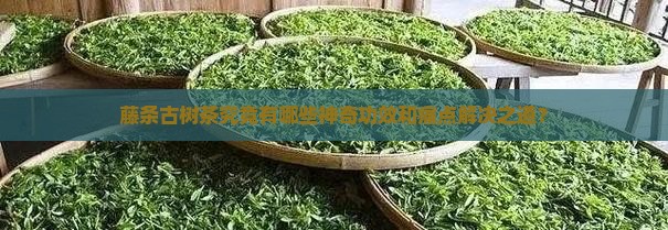 藤条古树茶究竟有哪些神奇功效和痛点解决之道？