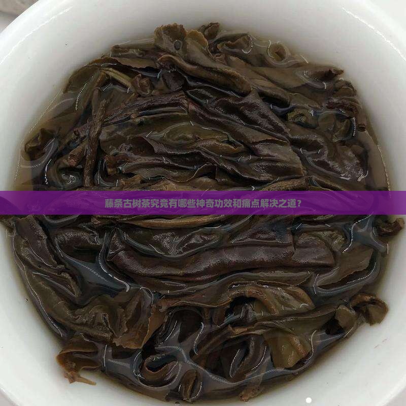 藤条古树茶究竟有哪些神奇功效和痛点解决之道？