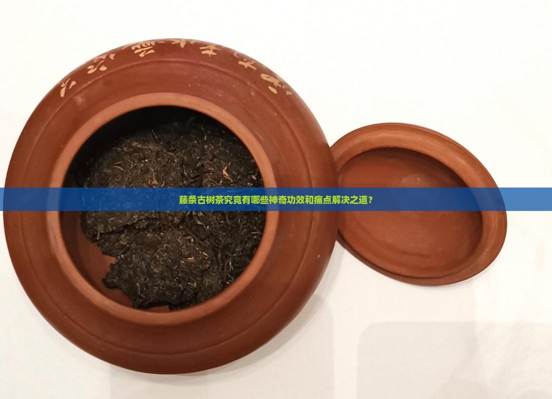 藤条古树茶究竟有哪些神奇功效和痛点解决之道？