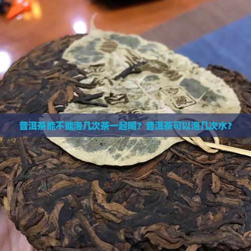 普洱茶能不能泡几次茶一起喝？普洱茶可以泡几次水？