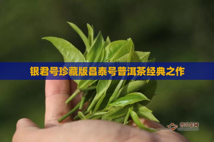 银君号珍藏版昌泰号普洱茶经典之作