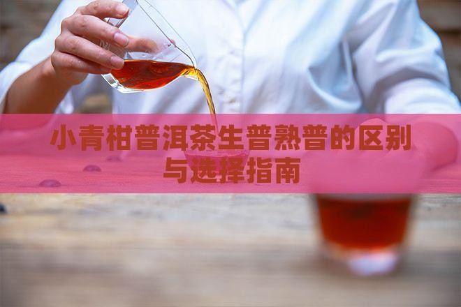 小青柑普洱茶生普熟普的区别与选择指南