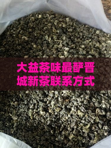 大益茶味最酽晋城新茶联系方式