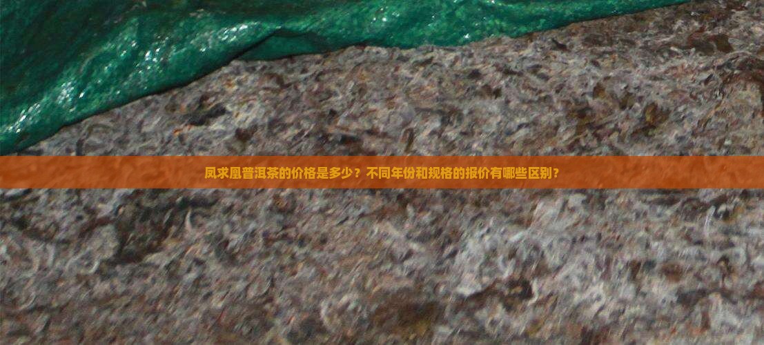 凤求凰普洱茶的价格是多少？不同年份和规格的报价有哪些区别？