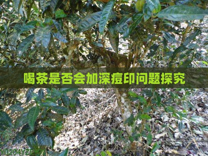 喝茶是否会加深痘印问题探究