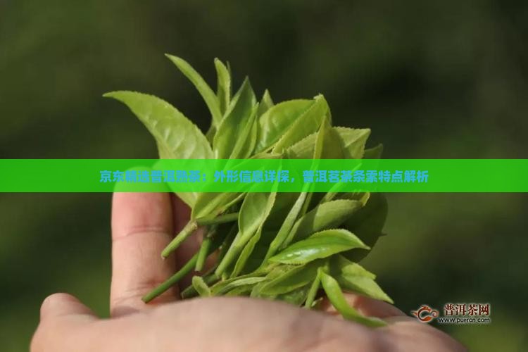 京东精选普洱熟茶：外形信息详探，普洱茗茶条索特点解析