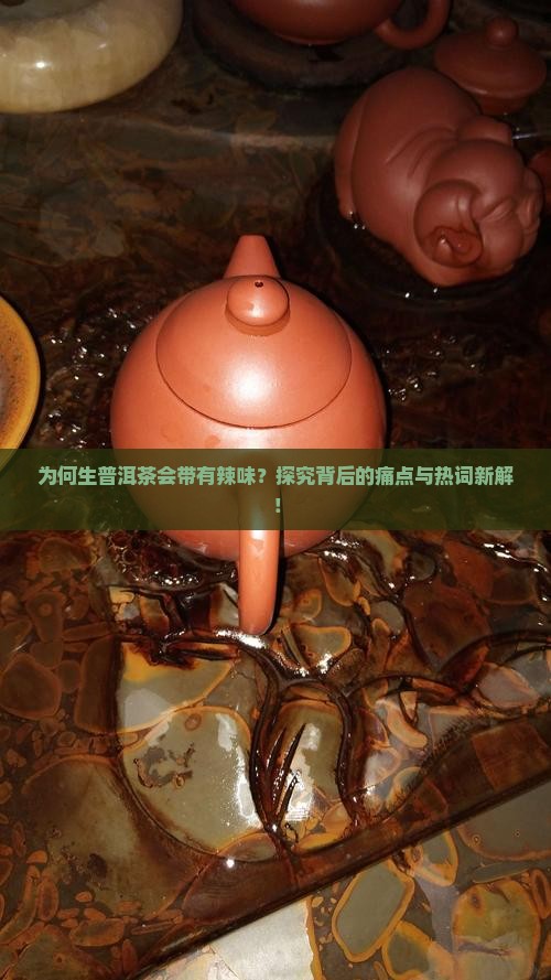 为何生普洱茶会带有辣味？探究背后的痛点与热词新解！