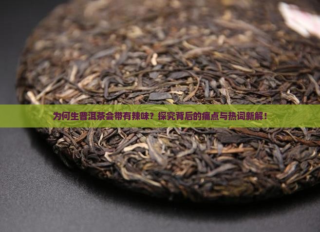 为何生普洱茶会带有辣味？探究背后的痛点与热词新解！