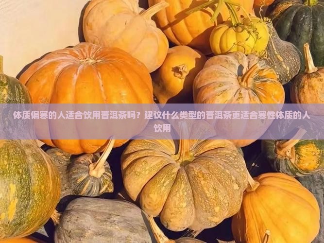 体质偏寒的人适合饮用普洱茶吗？建议什么类型的普洱茶更适合寒性体质的人饮用