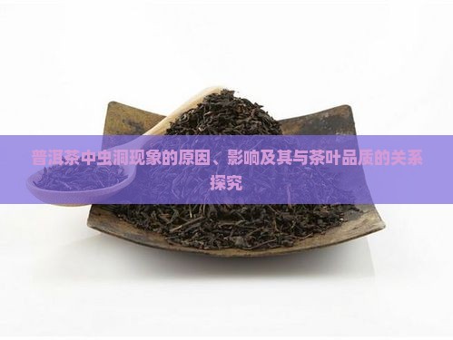 普洱茶中虫洞现象的原因、影响及其与茶叶品质的关系探究