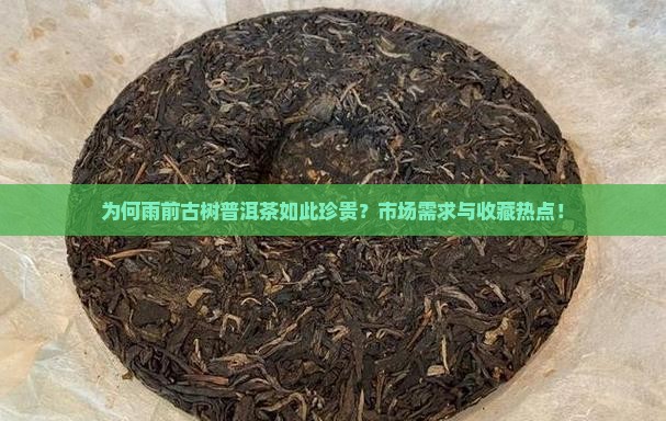 为何雨前古树普洱茶如此珍贵？市场需求与收藏热点！