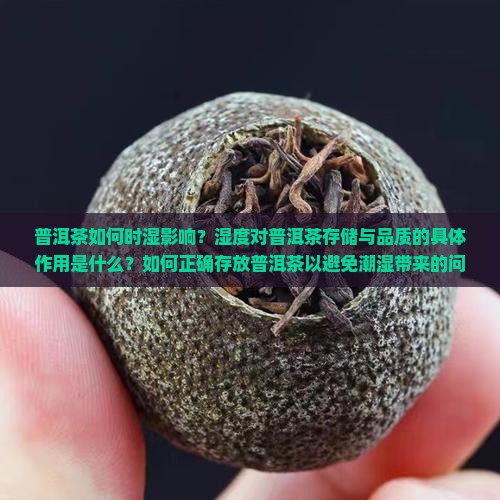 普洱茶如何时湿影响？湿度对普洱茶存储与品质的具体作用是什么？如何正确存放普洱茶以避免潮湿带来的问题？