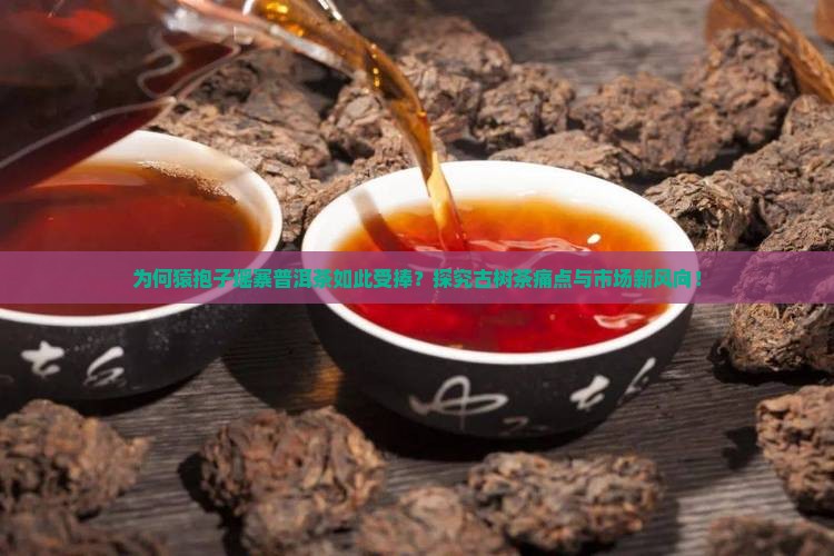 为何猿抱子瑶寨普洱茶如此受捧？探究古树茶痛点与市场新风向！