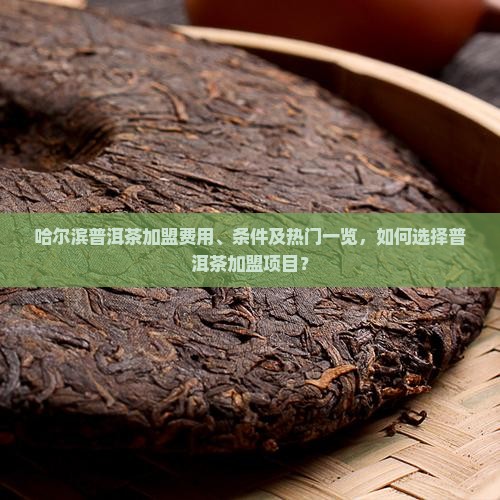 哈尔滨普洱茶加盟费用、条件及热门一览，如何选择普洱茶加盟项目？